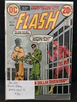 The Flash #219.