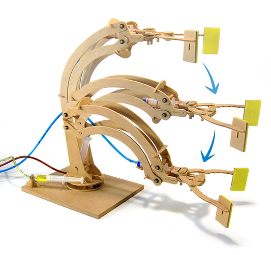 Pathfinders Robotic Arm