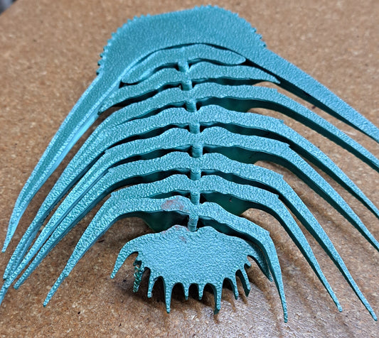 3D Printed Trilobite