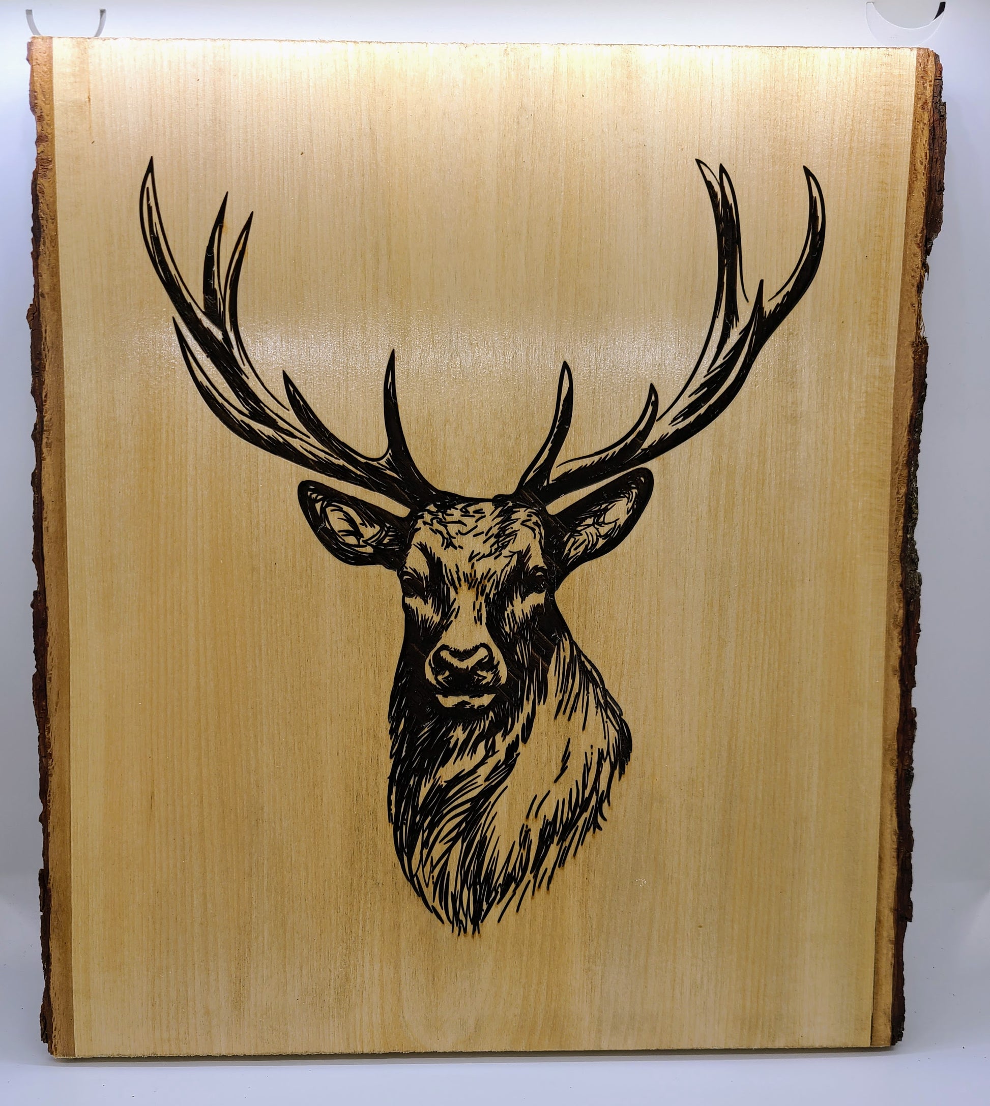 Deer.