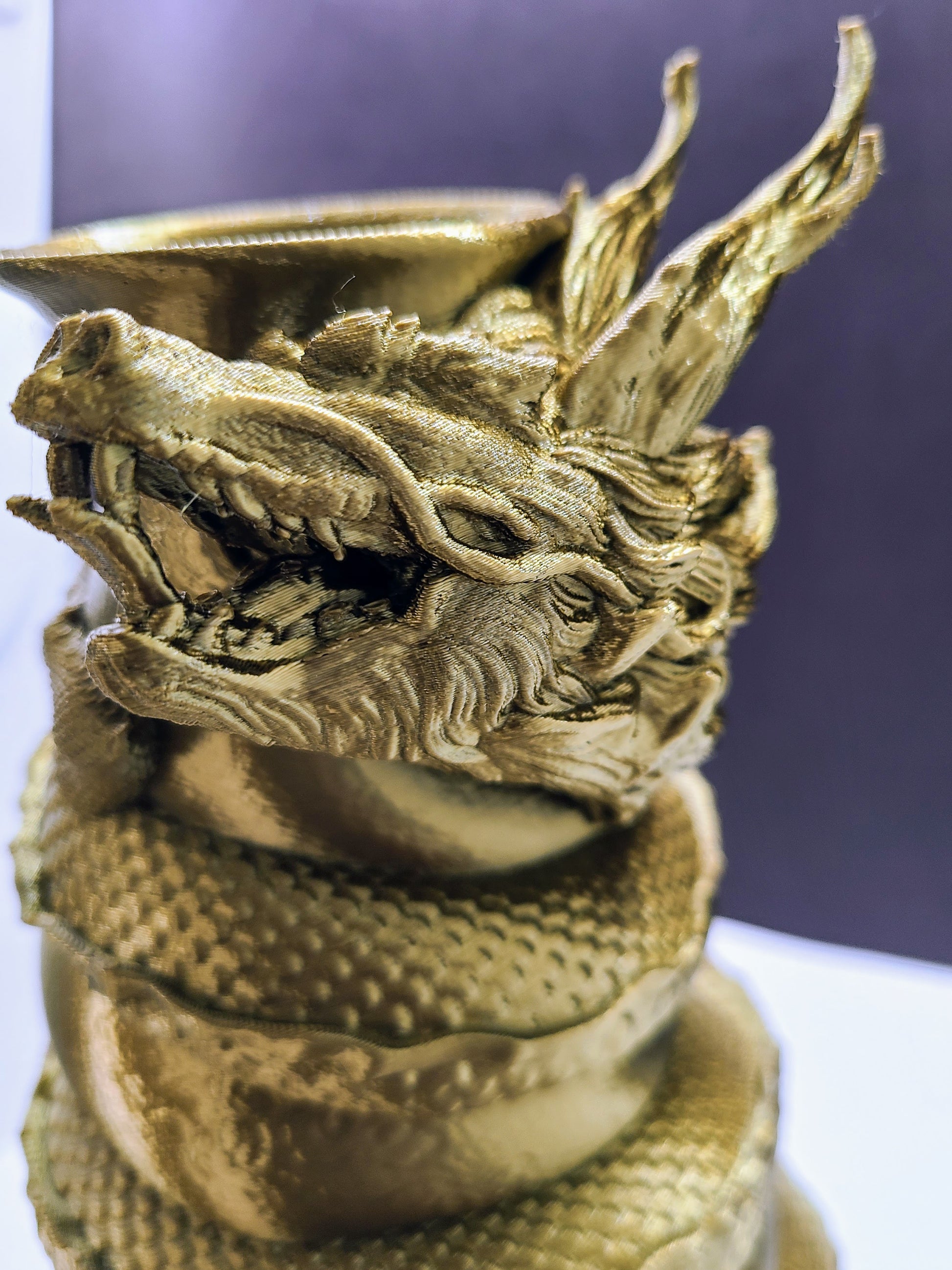 3D Printed Wrap Around Dragon Vase.