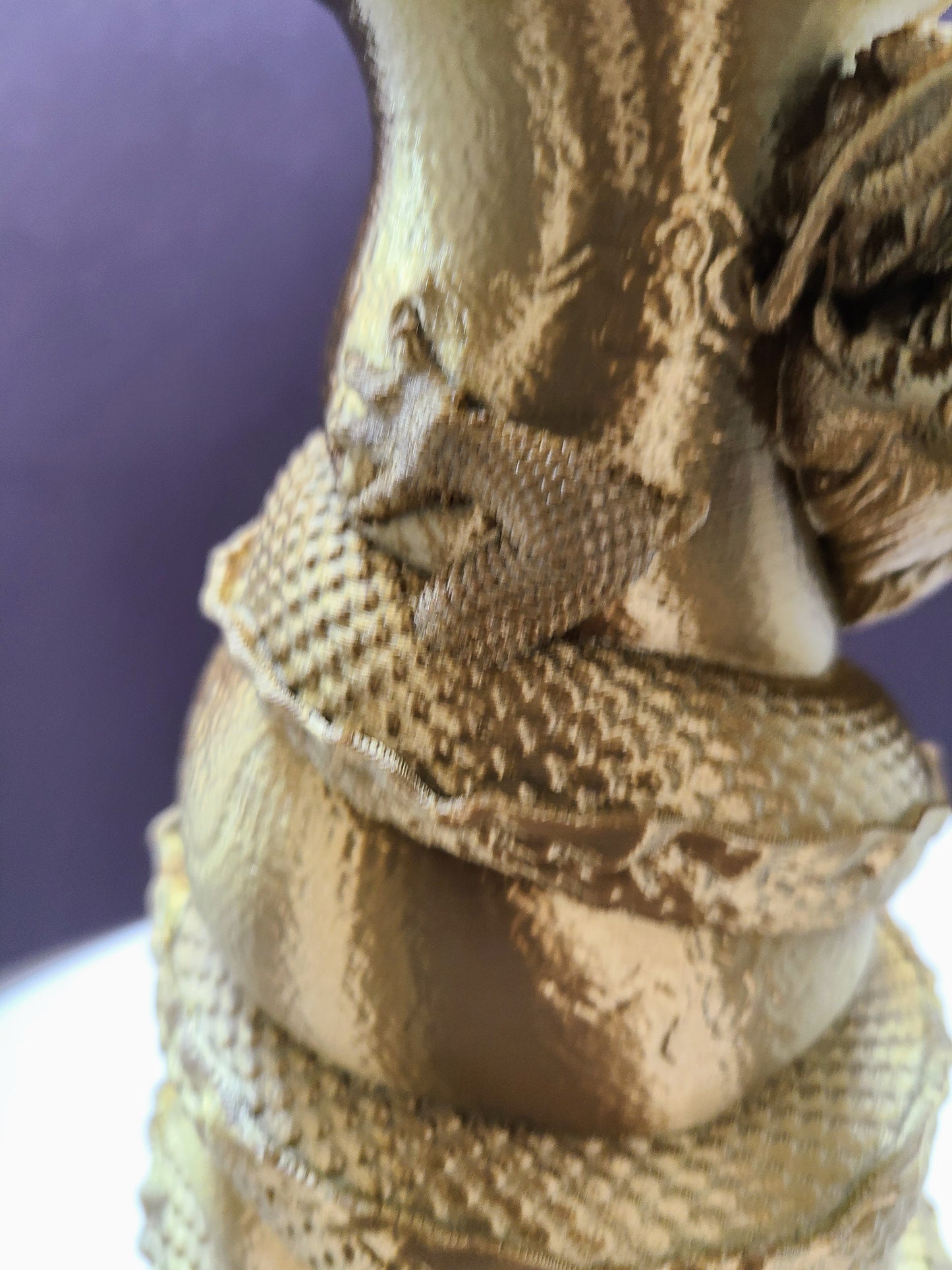 3D Printed Wrap Around Dragon Vase.
