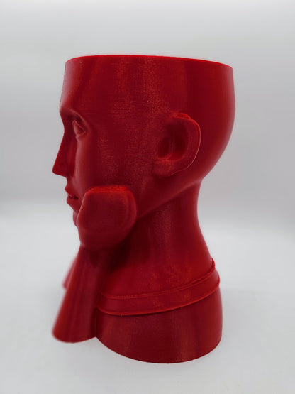 Face vase.